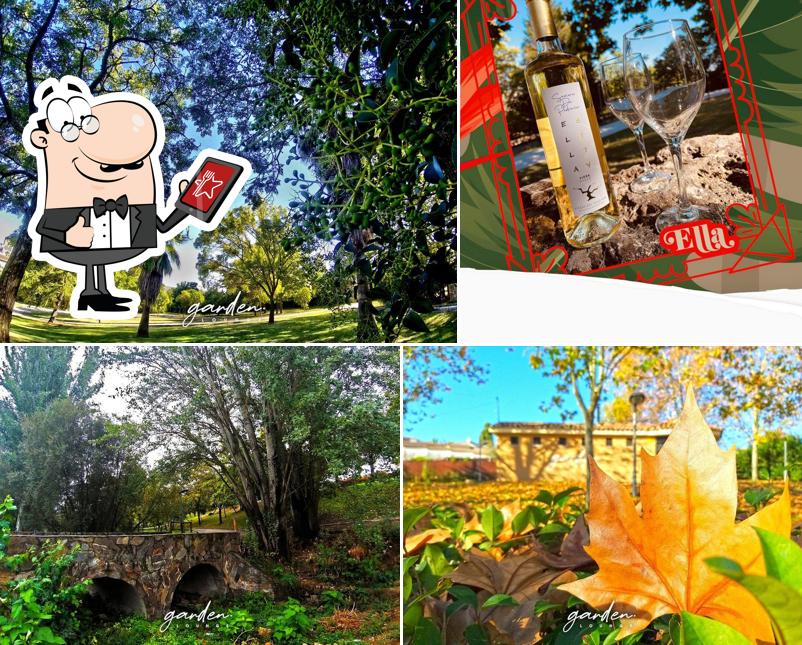 Garden Lounge Coria