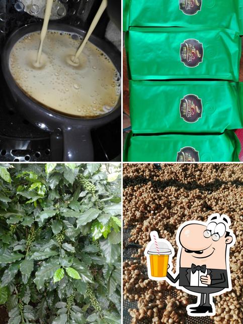 Doi Lan coffee estate