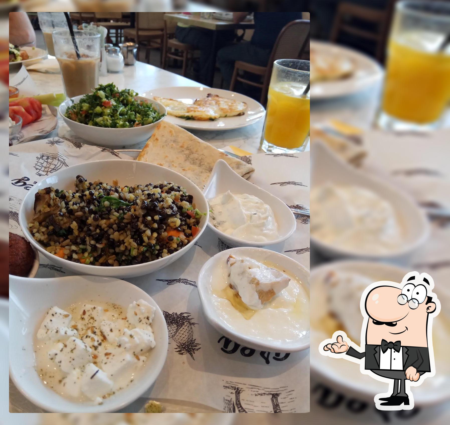 קפה גרג משתלת בית חי