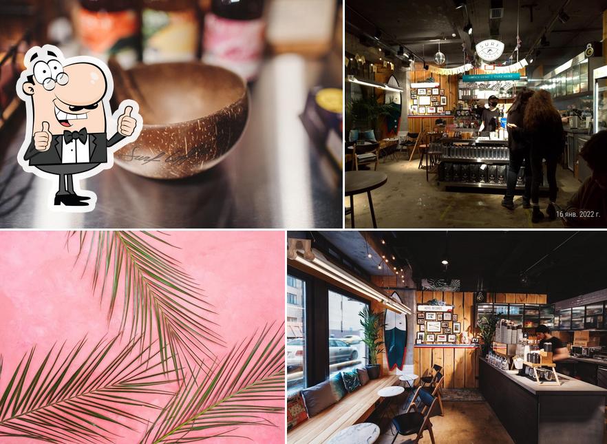 Surf Coffee x Studio