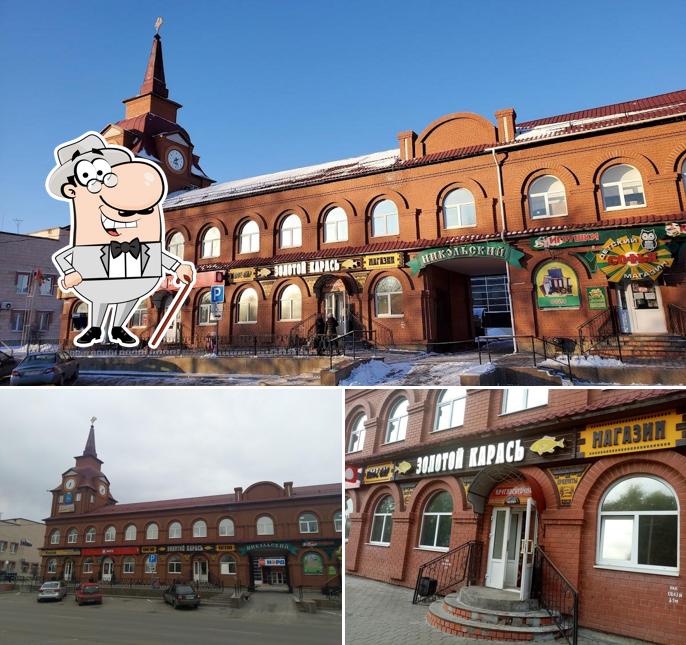 Золотой карась