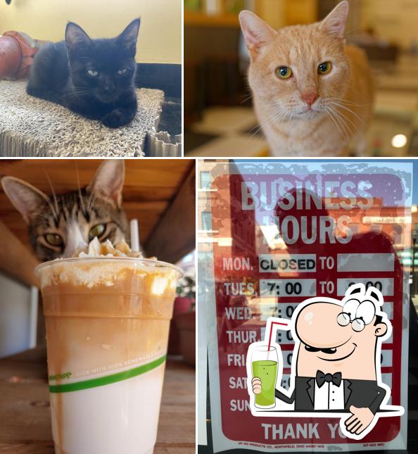 Kitty Korner Cafe