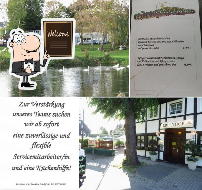 Restaurant Platanos