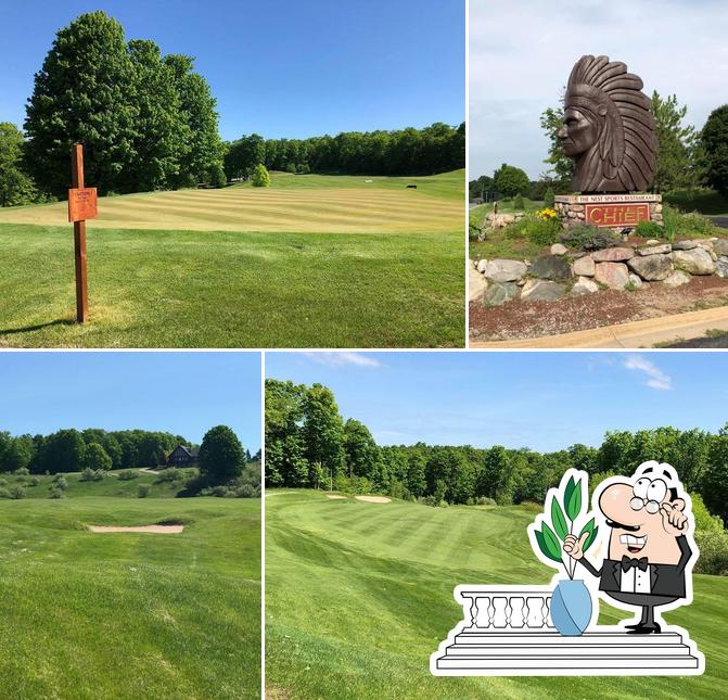 The Nest At The Chief Golf Course