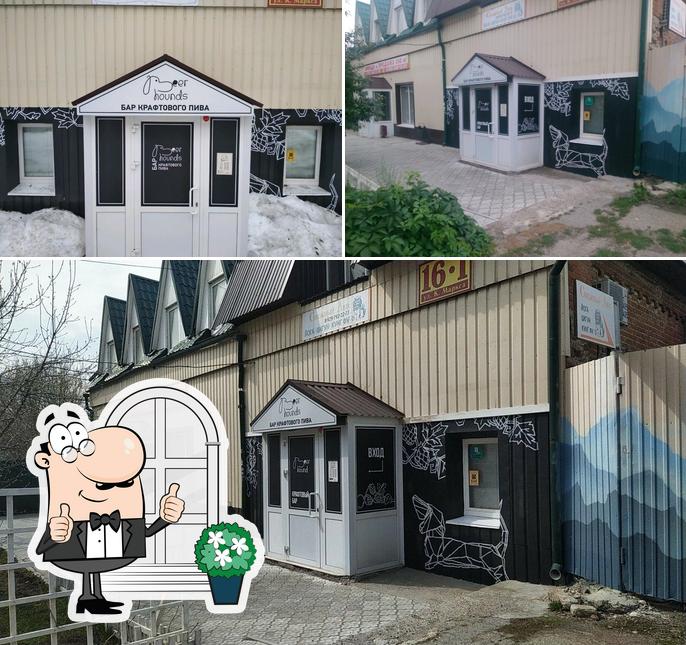 Внешнее оформление "Beer Hounds"