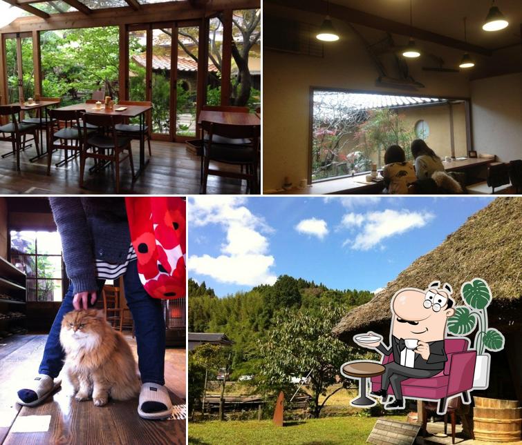 Gungendo Store & Cafe