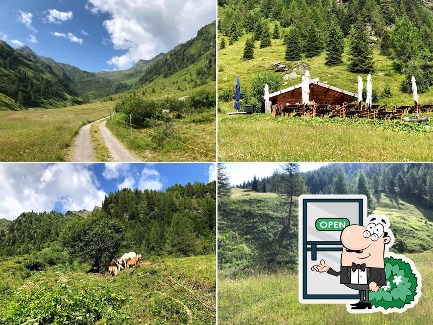 Plunhof Hütte