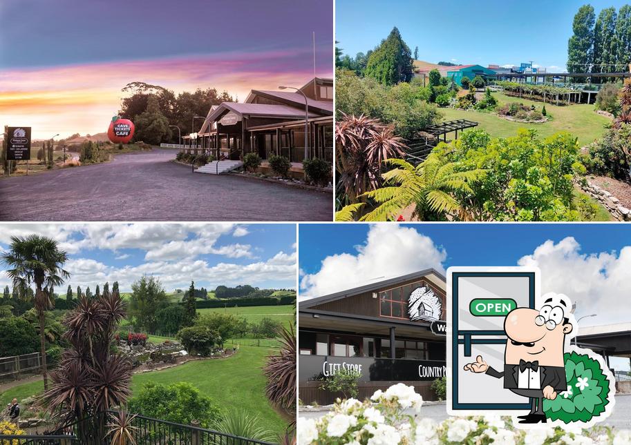 Waitomo Homestead