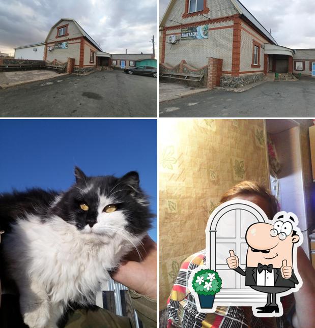 Анастасия