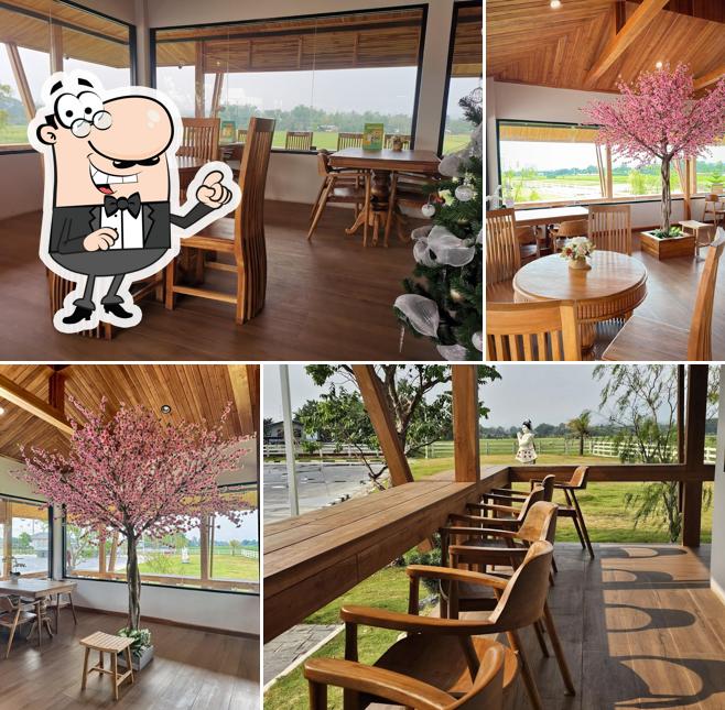 Inthanin Coffee : เวียงป่าเป้า เชียงราย