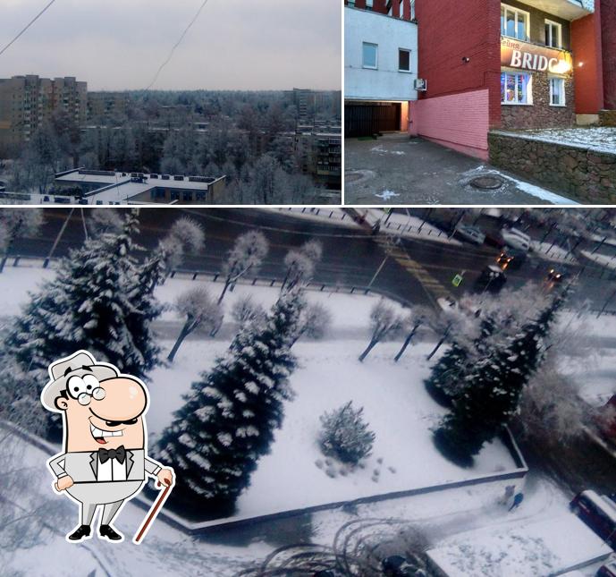 Бридж