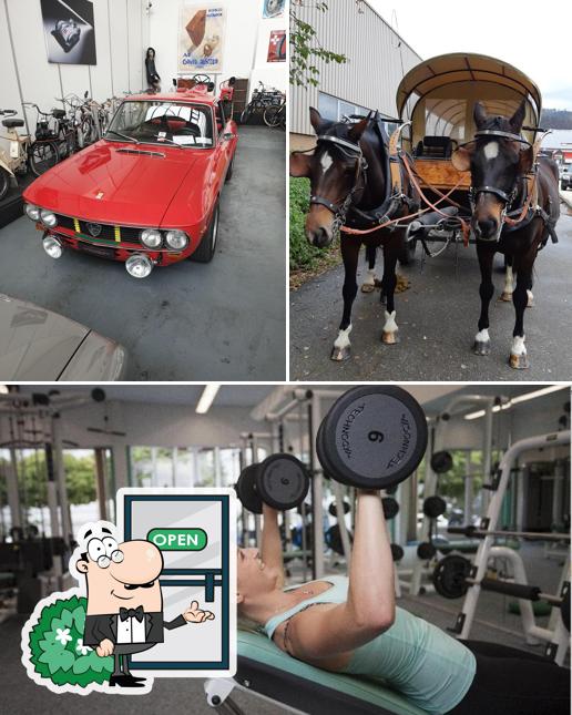 fitneXX Balsthal AG