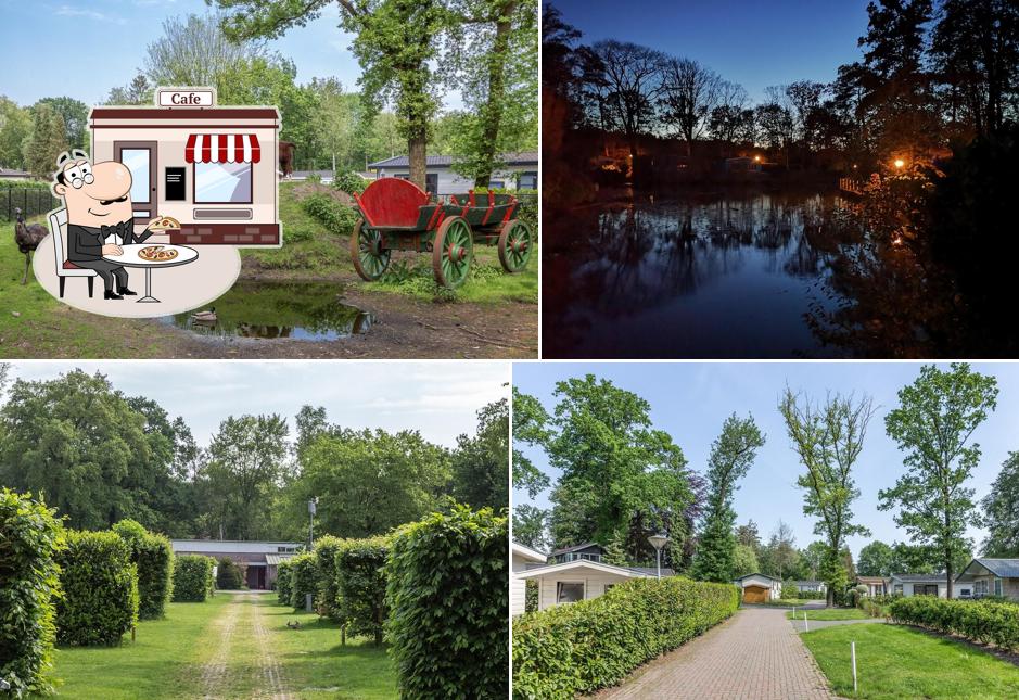 Residence de Eese Vakantiepark Groepsaccommodatie