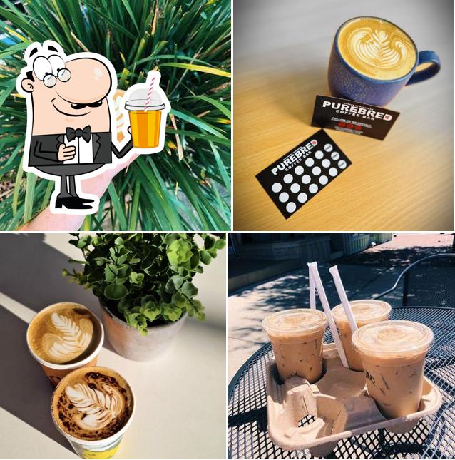 PureBred Coffee Bar