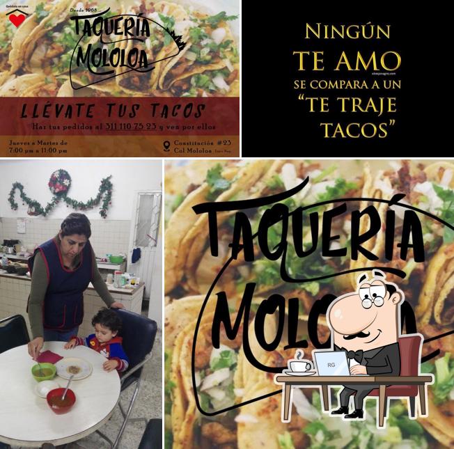 TAQUERIA MOLOLOA