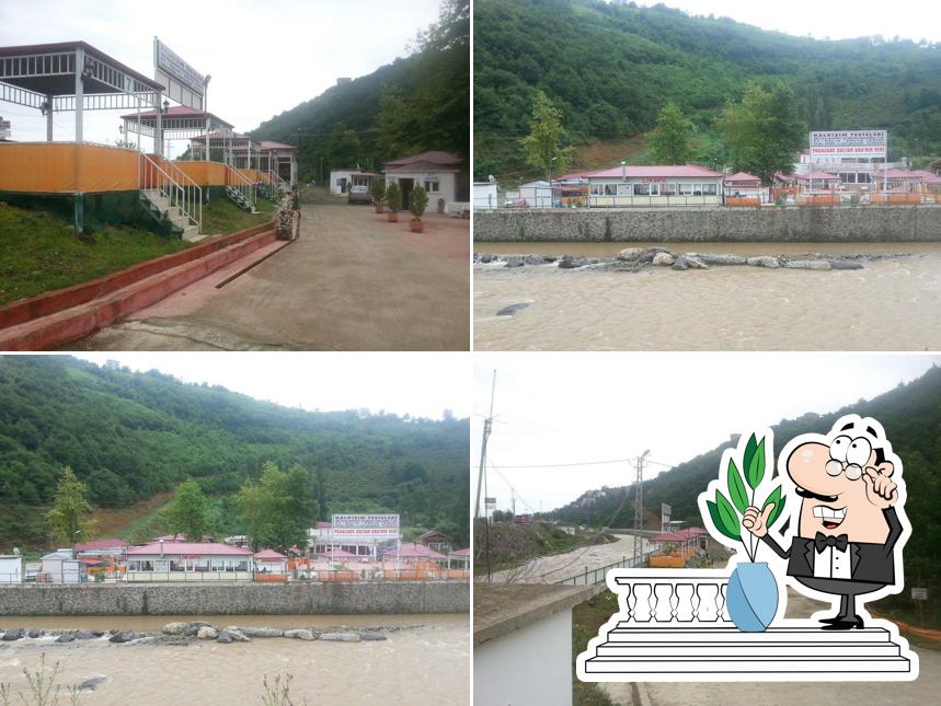 Pashazade Sultan Mother's Place