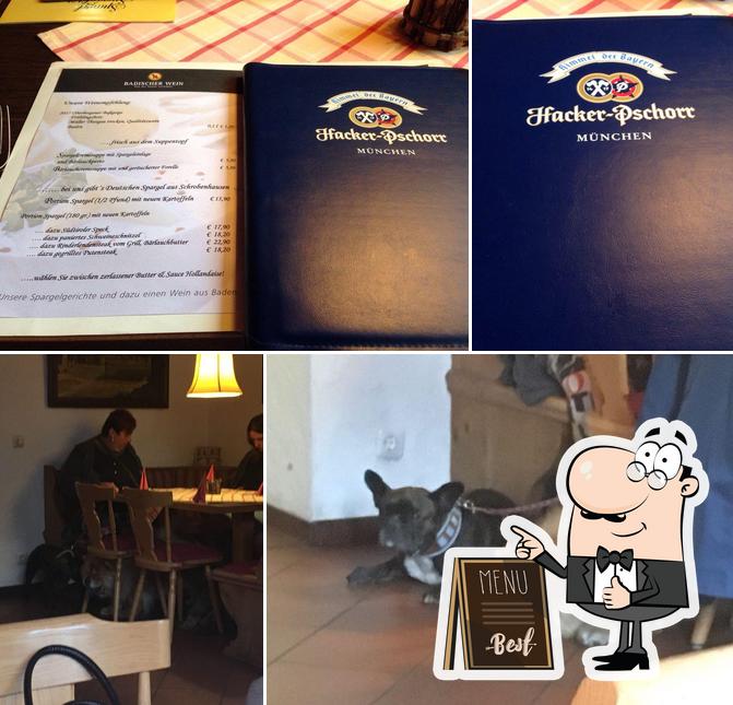 Hotel Gasthof Alter Wirt
