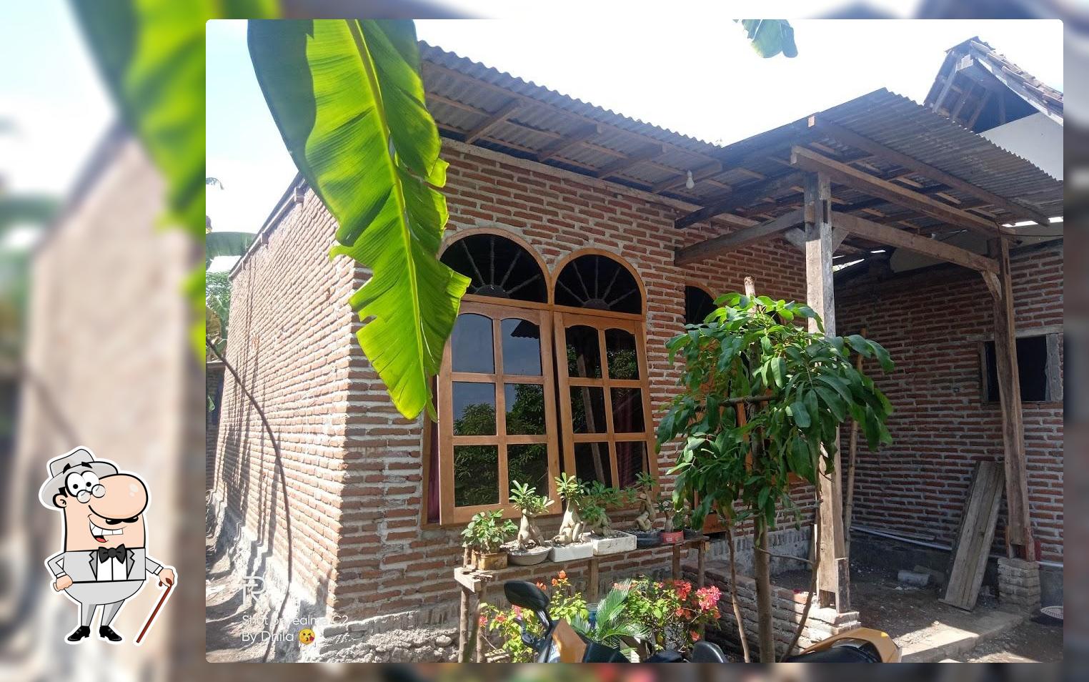 Dhila Frozen food