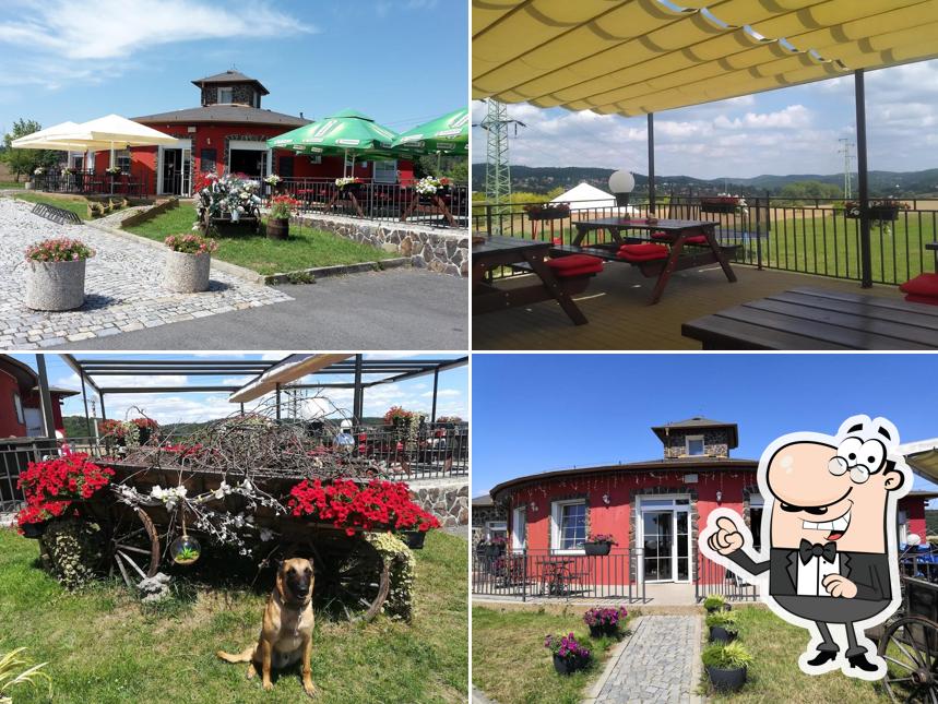 Restaurace Svatojánská Rotunda