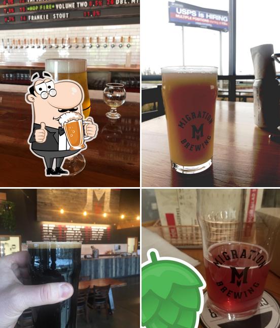 Migration Brewing