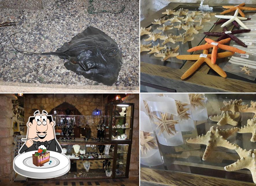 Lebanese Marine and Wildlife Museum