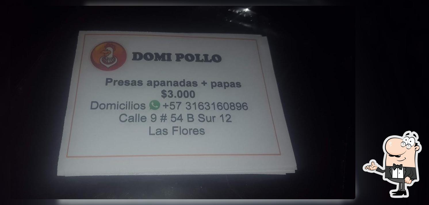 Domi pollo