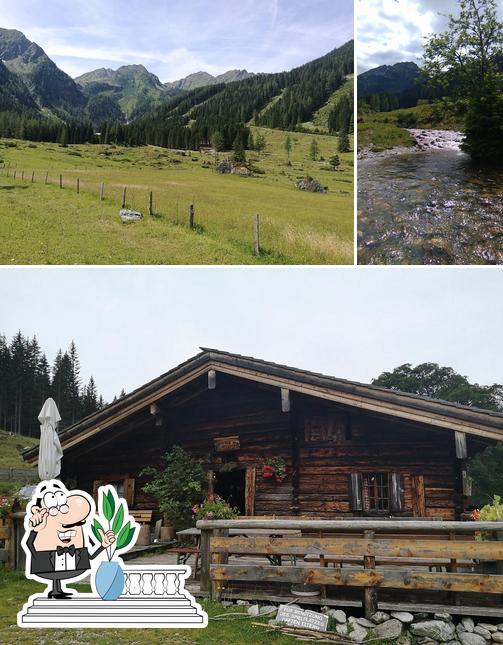 Fallhausalm