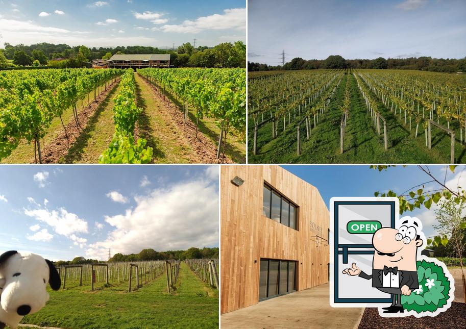 Bolney Wine Estate