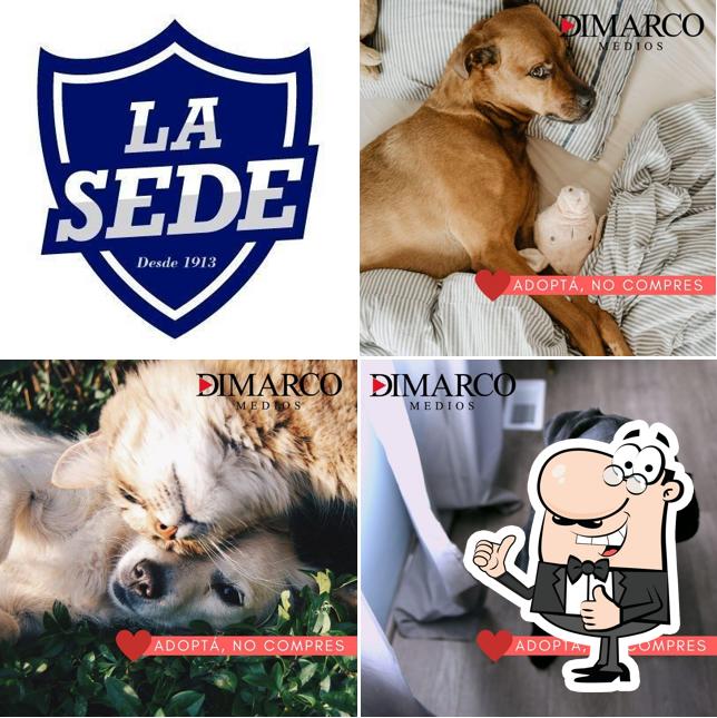La SEDE