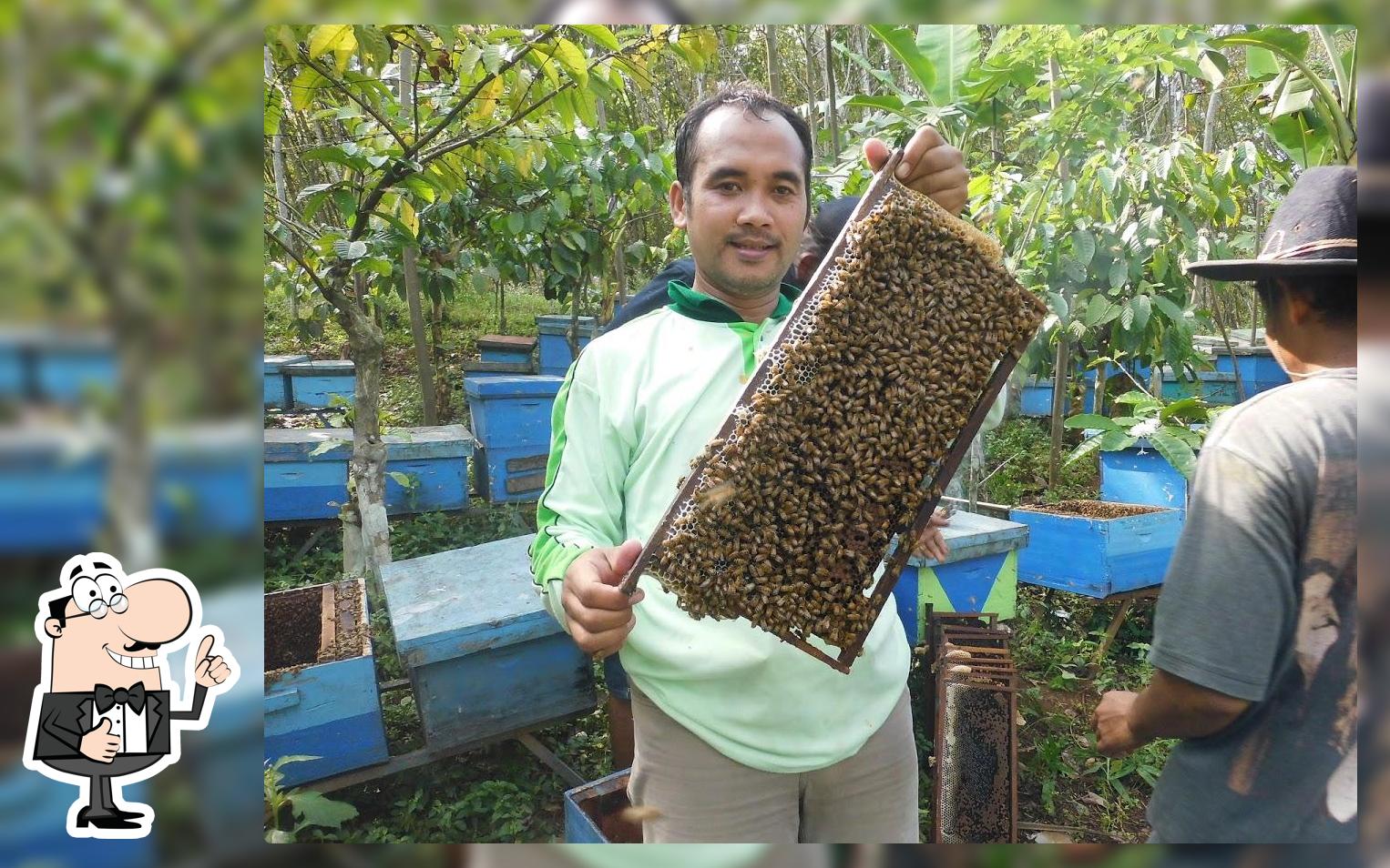 MADU CENDANA