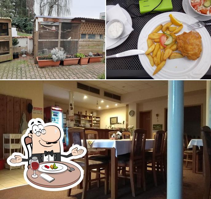 Pod Břízami**