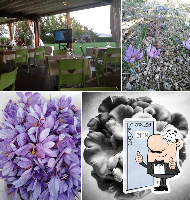 Ristorante Il Girasole