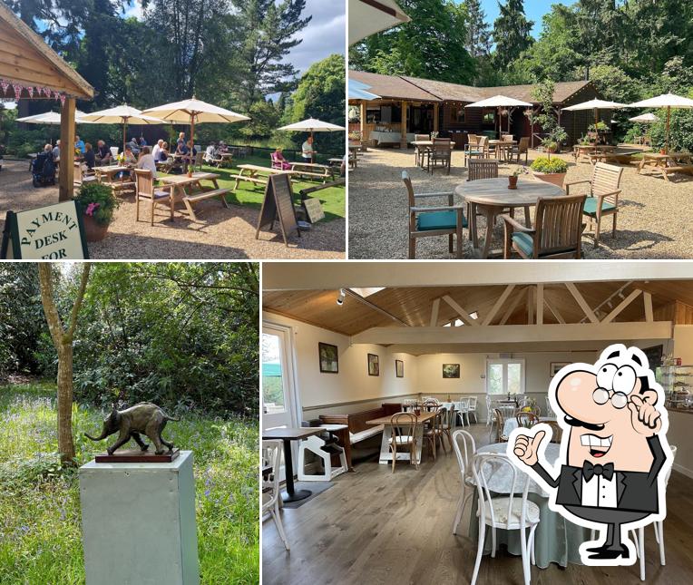 Ramster Tea House