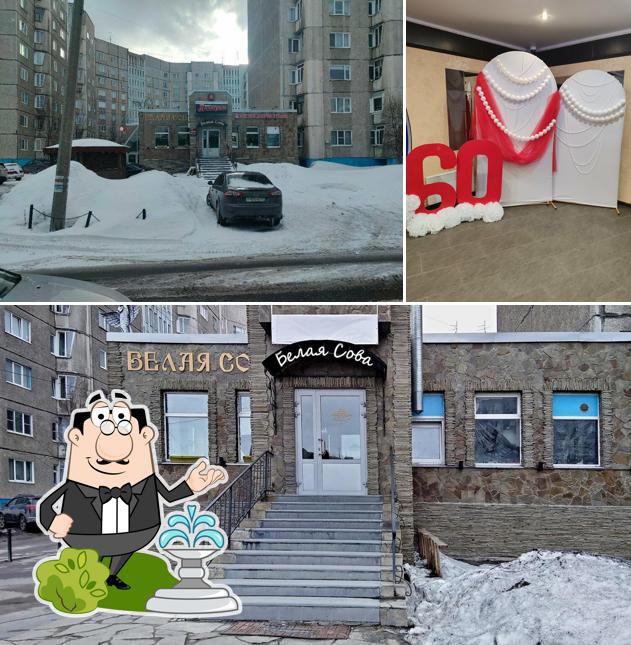 Белая сова