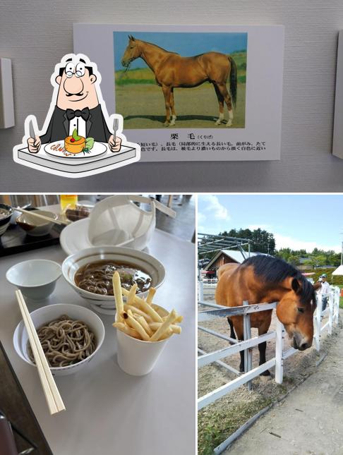 Towada Horse Park Komakko Land