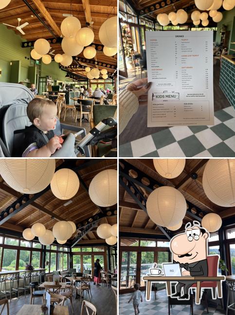 Treetop Café