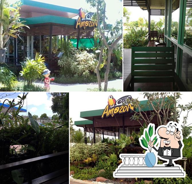 Café Amazon