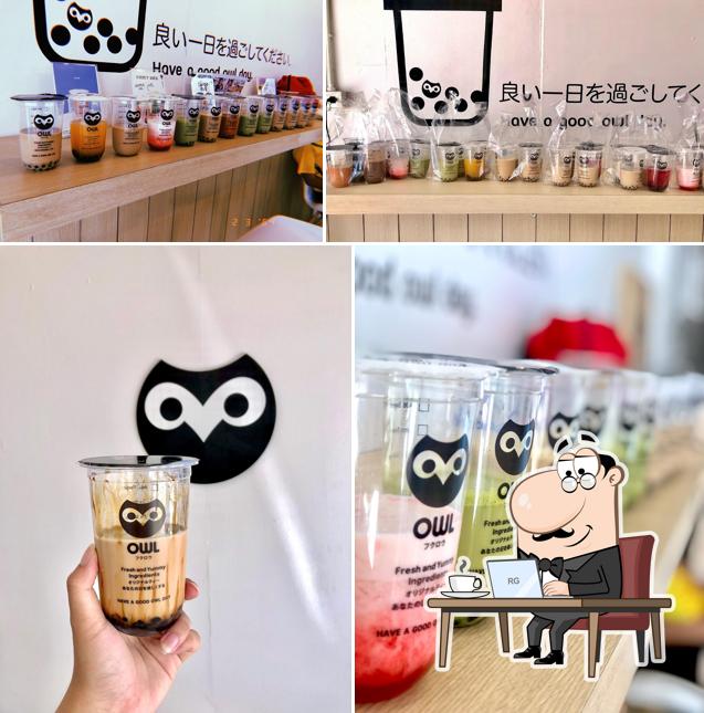 OWL CHA อาวน์ชา สาขาปากพนัง