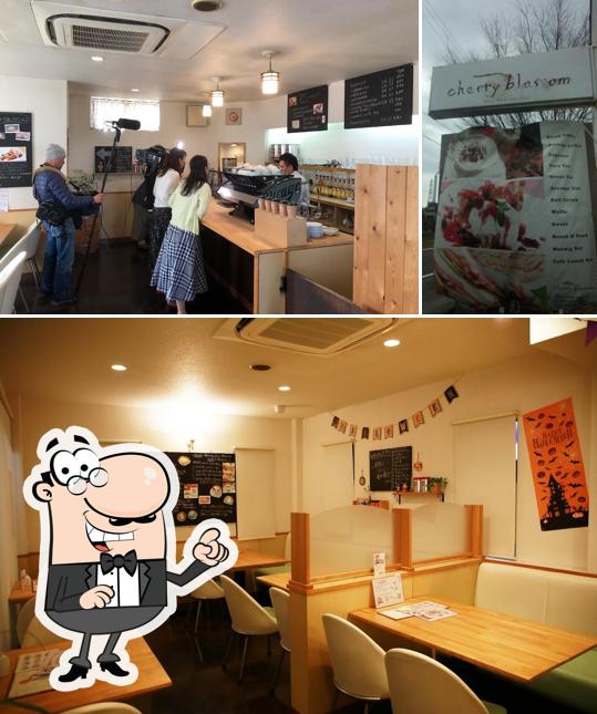 cafe cherryblossom