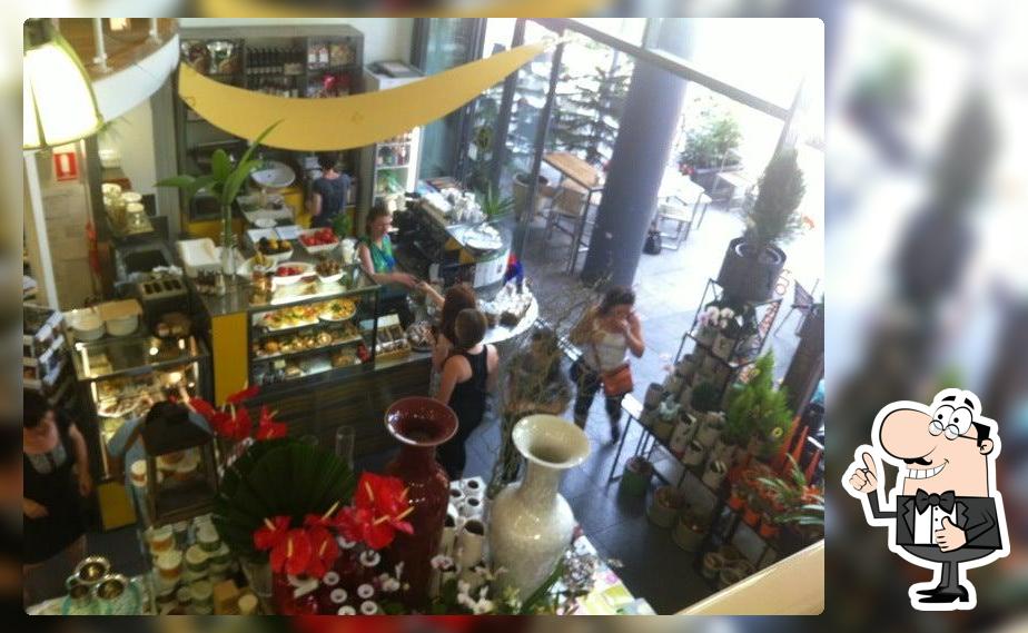 Organic Cafe