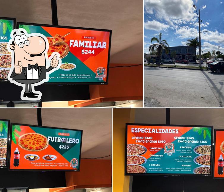 Monkey Pizza Palmares