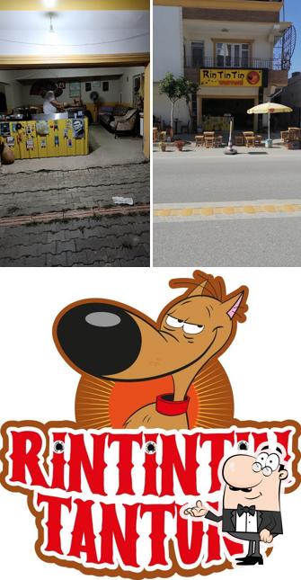 Rintintin Tantuni