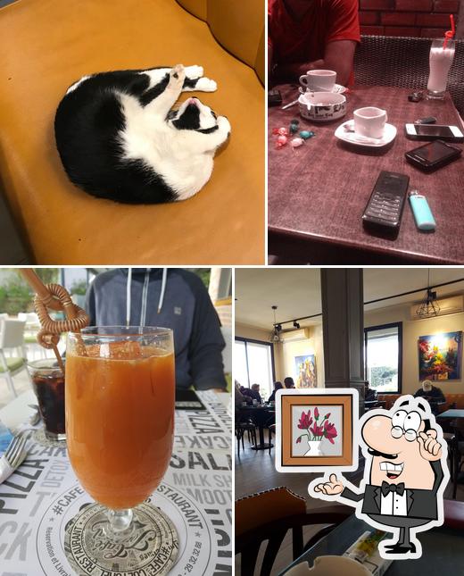 Cafe Journal