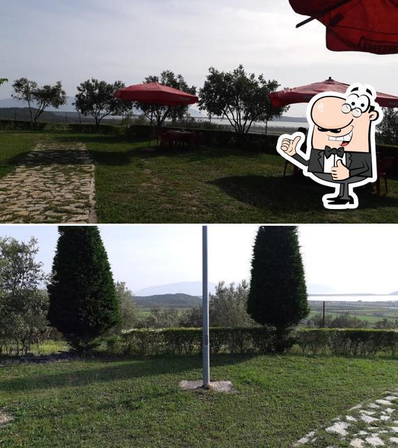 Green Park Resort
