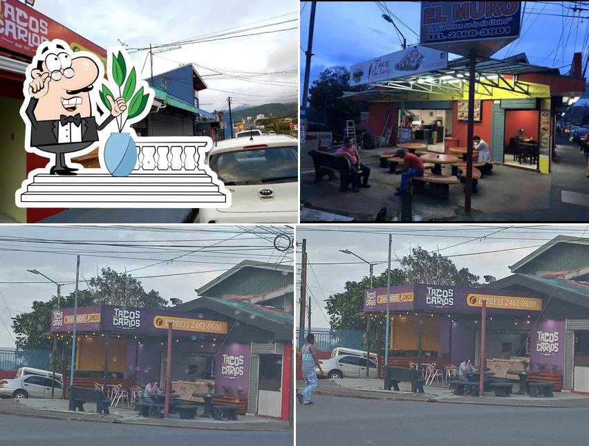 TACOS DON CARLOS