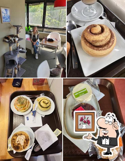 Telizzia Cat Café