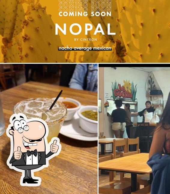 Nopal Gainesville
