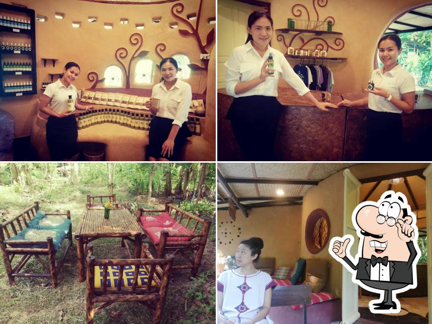 กาแฟบ้านดินกายา Gaia Cafe Organic coffee & tea and natural products