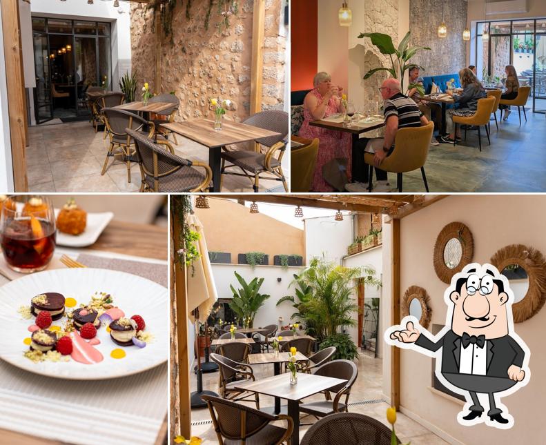 El PATIO de Moonten (Adults Only)
