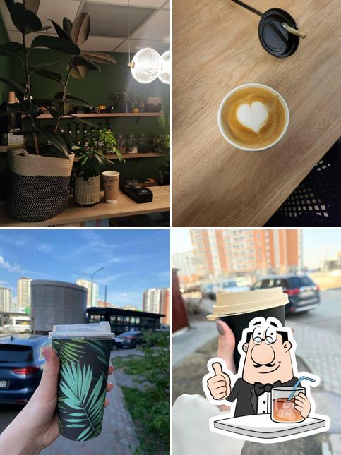 Robusta Coffee